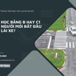 Nên Học Bằng B Hay C1 Cho Người Mới Bắt Đầu Học Lái Xe?